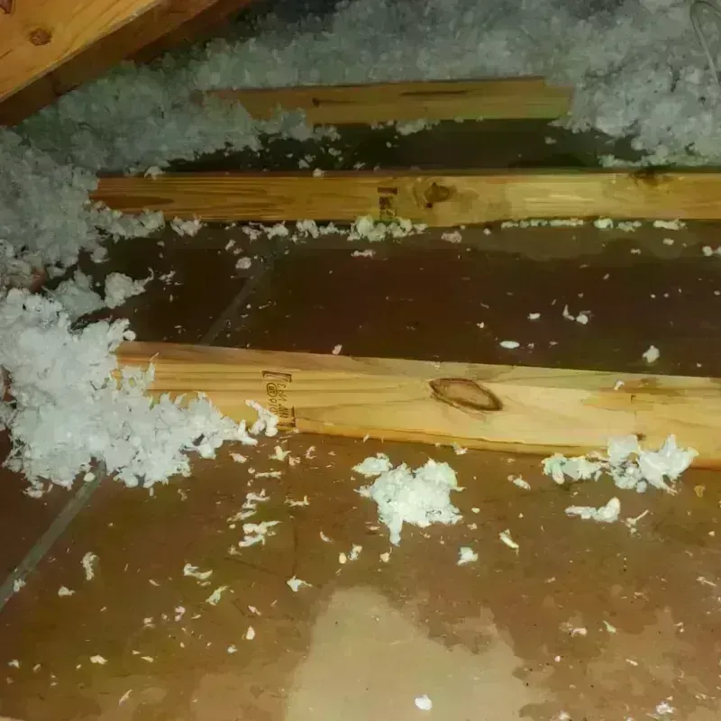 Attic Water Damage in Mount Gilead, NC